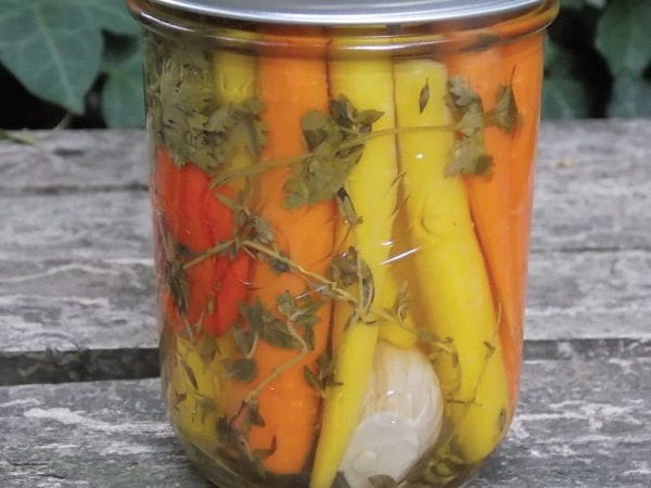 63-Pickling-Everything-Foolproof-Recipes-for-Sour-Sweet-Spicy-Savory-Crunchy-Tangy-Treats-fdFcDJ (09)