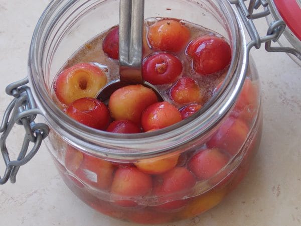 63-Pickling-Everything-Foolproof-Recipes-for-Sour-Sweet-Spicy-Savory-Crunchy-Tangy-Treats-fdFcDJ (48)