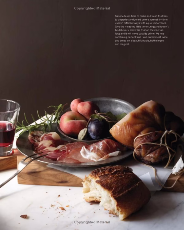 دانلود کتاب آشپزی سالومی