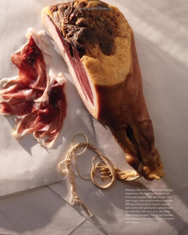 دانلود کتاب آشپزی سالومی