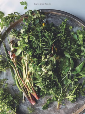 دانلود کتاب آشپزی طعمی از ایران