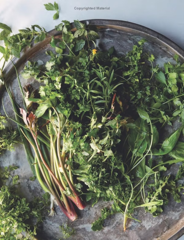 دانلود کتاب آشپزی طعمی از ایران