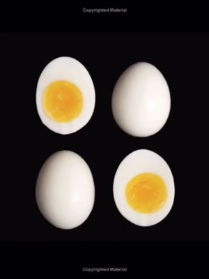 دانلود کتاب آزمایشگاه غذا