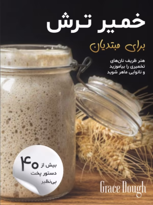 کتاب خمیر ترش (ترجمه فارسی)