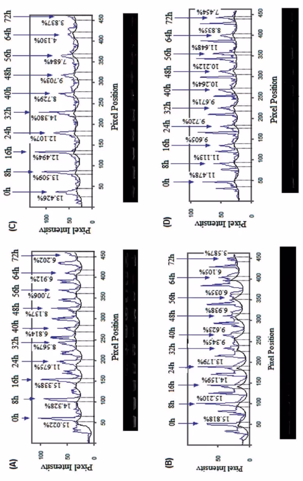 Microbiology for Food and Health; Technological Developments and
