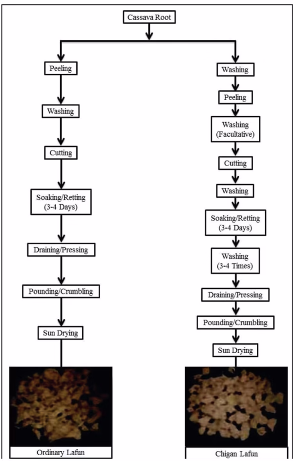 Microbiology for Food and Health; Technological Developments and