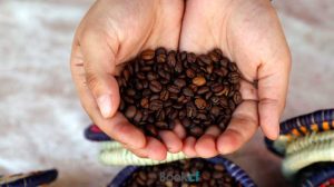 طرز تهیه قهوه یمنی